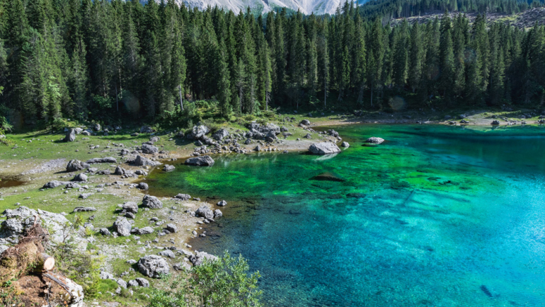 Carezza-01