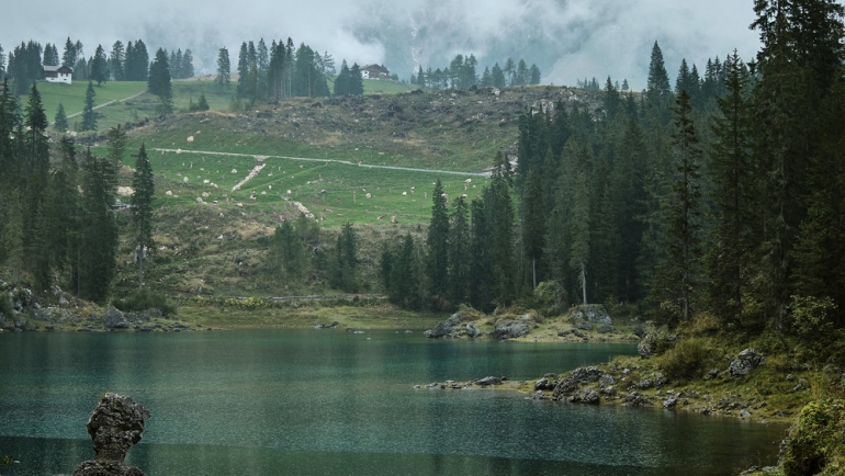 Carezza-010