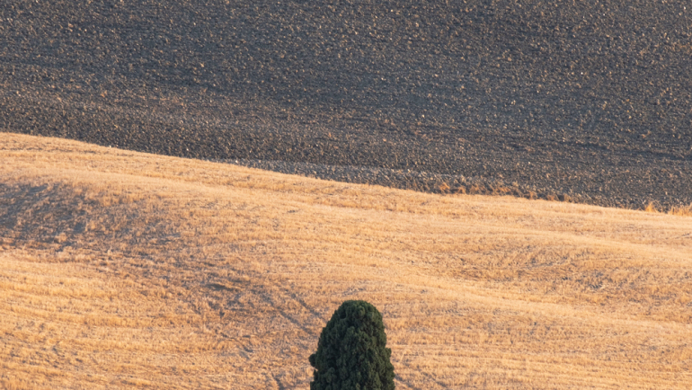 campi-elisi-gradiatore-02
