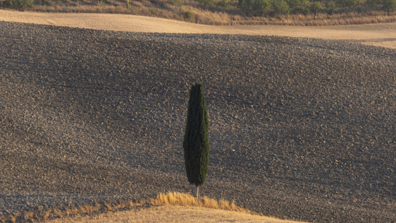 campi-elisi-gradiatore-03