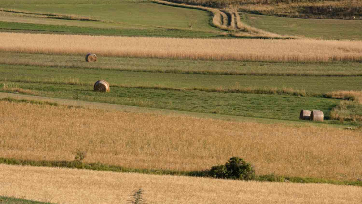 castelluccio-di-norcia-08