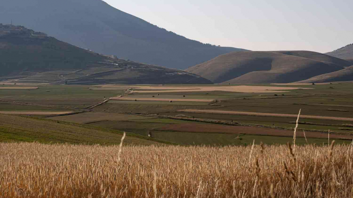 castelluccio-di-norcia-09