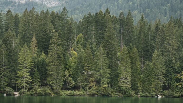 lago-di-tovel-07