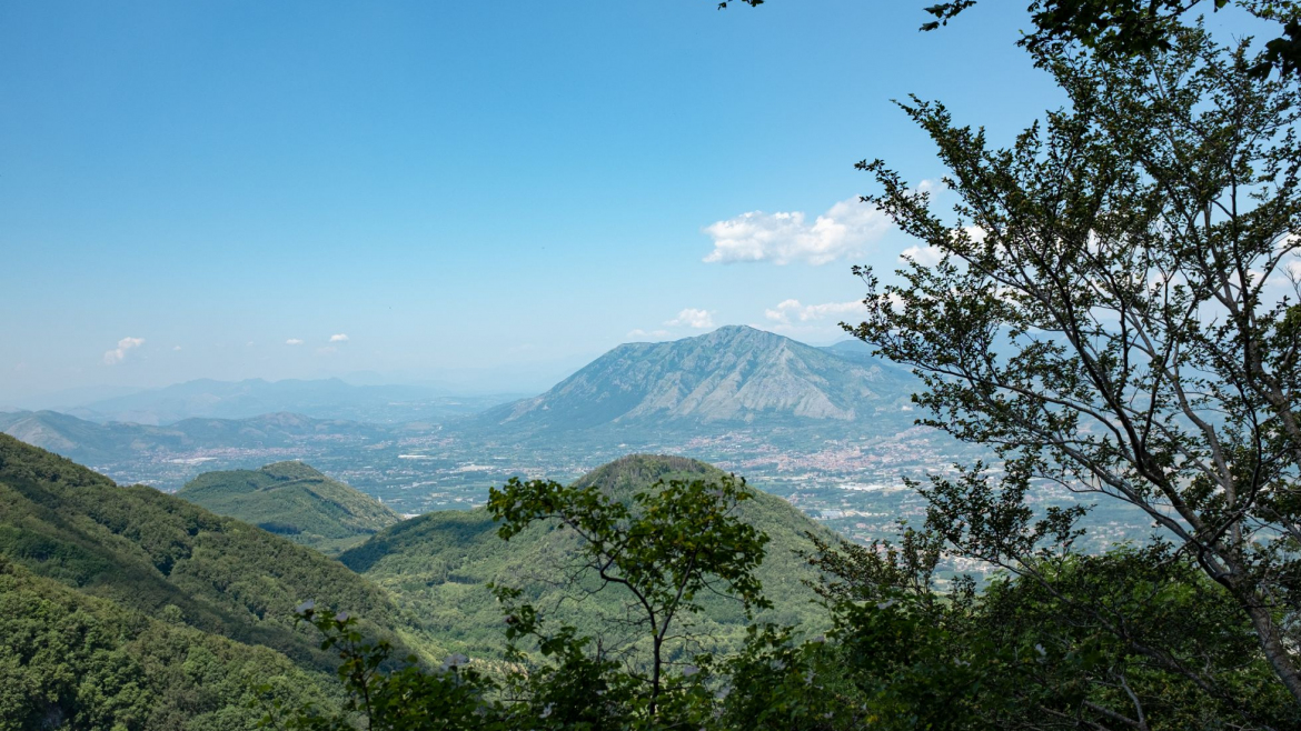 pannarano-02