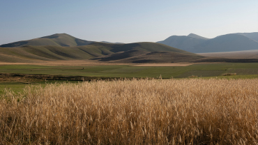 i Piani di Castelluccio