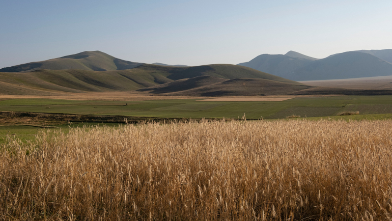 i Piani di Castelluccio