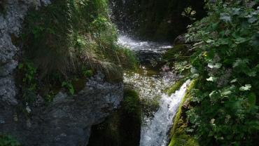 da prati di tivo alle cascate di rio arno