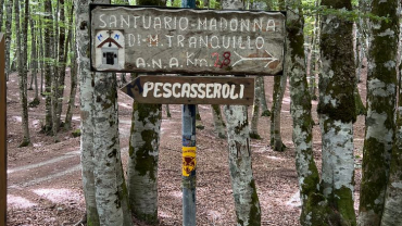 Tranquillo-012