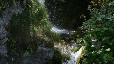 rioarno-06