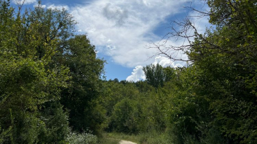 Barrea (2)