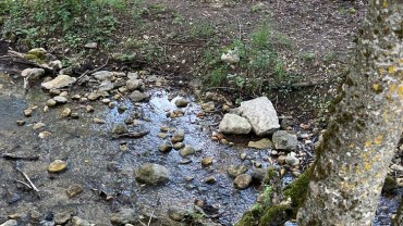 Escursione da Civitella Alfedena a Barrea