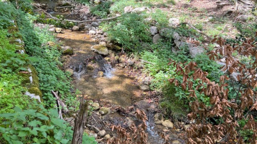Escursione da Civitella Alfedena a Barrea