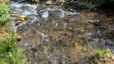 Escursione da Civitella Alfedena a Barrea
