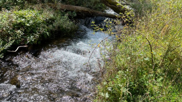 Escursione da Civitella Alfedena a Barrea