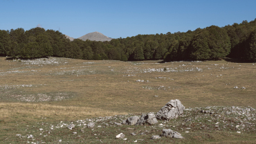 Da Forca D'Acero all'altopiano della Macchiarvana