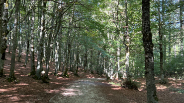 escursione da forca d'acero all'altopiano della macchiarvana