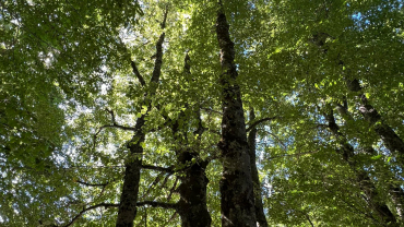 escursione da forca d'acero all'altopiano della macchiarvana
